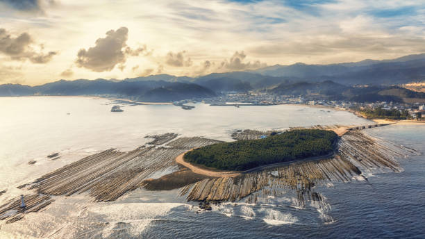 青島島 - 宮崎県 ストックフォトと画像