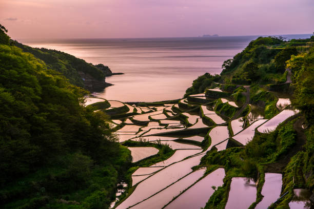 花まうまい田田、田田の夕日、九州、日本 - 佐賀県 ストックフォトと画像