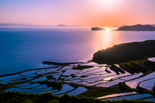 銅谷棚田、田んぼの夕日、九州、日本 - 佐賀県 ストックフォトと画像