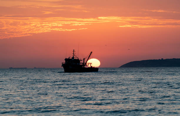 sunrise and fishing boat - 高知県 ストックフォトと画像