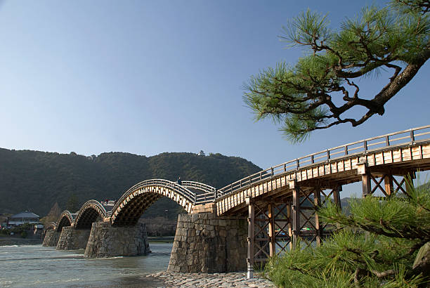 錦帯橋、パイン - 山口県 ストックフォトと画像